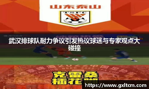 武汉排球队耐力争议引发热议球迷与专家观点大碰撞